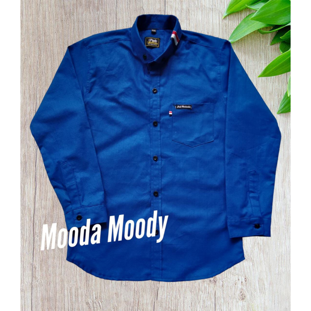 Mooda Moody - Kemeja Anak laki laki Lengan Panjang Warna Biru elektrik Kemeja Anak warna Biru Persib