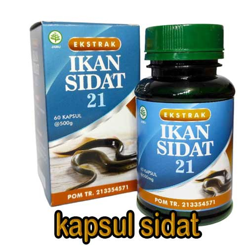 Ekstrak sidat gold kapsul ikan sidat
