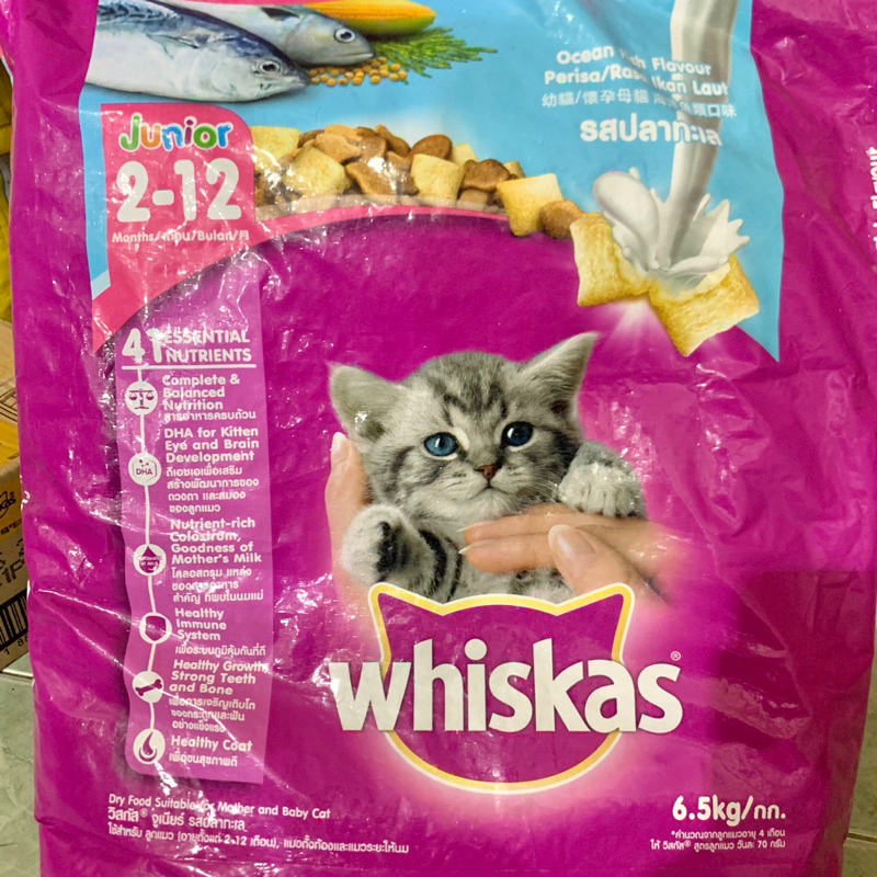 GOJEK WHISKAS Makanan Kucing Kering Junior 6.5kg