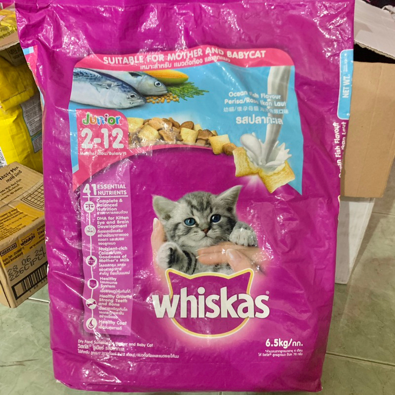 GOJEK WHISKAS Makanan Kucing Kering Junior 6.5kg