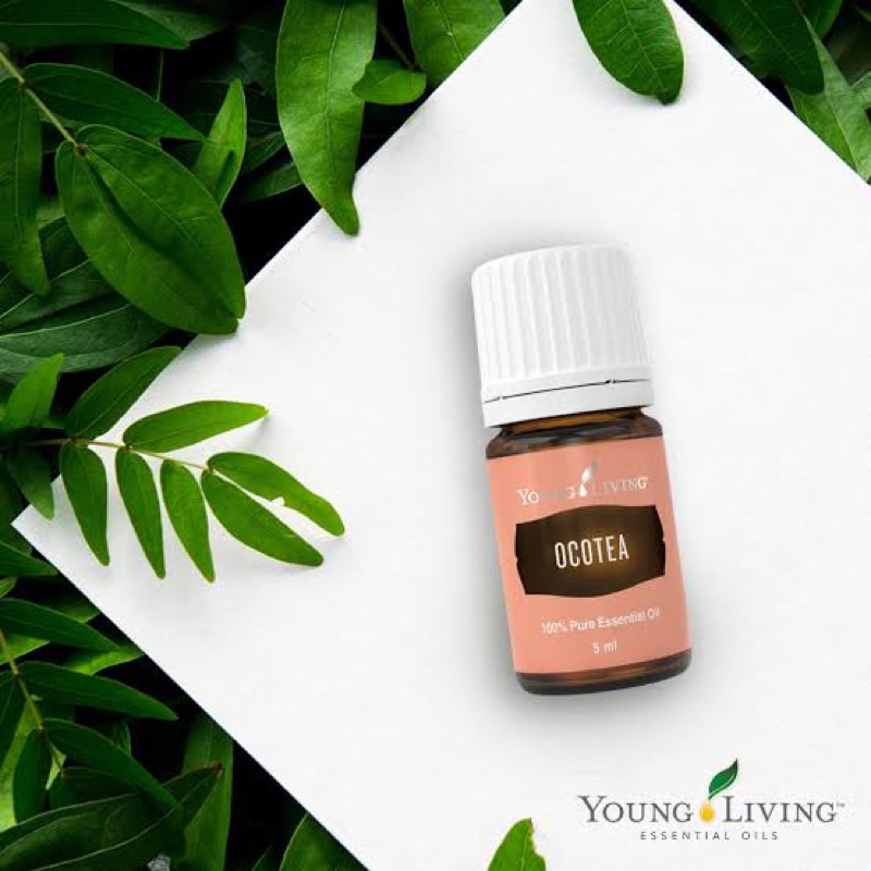 Young Living Ocotea 5 ml