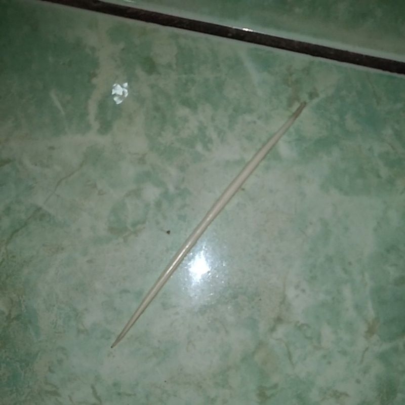 bulu landak asli putih mulus tidak ada hitam sedikitpun