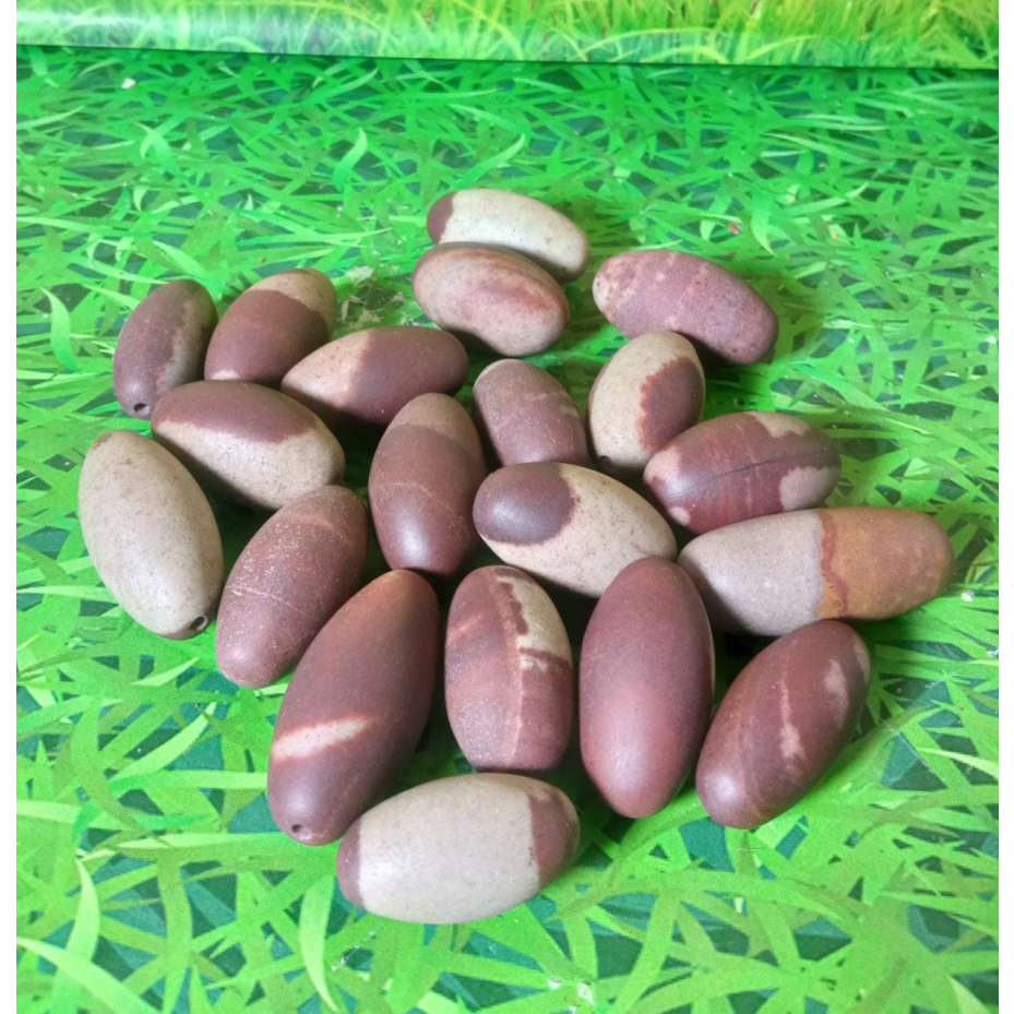 Natural Shiva Lingam Stone Wiith One Hole size 2,5 - 3 cm