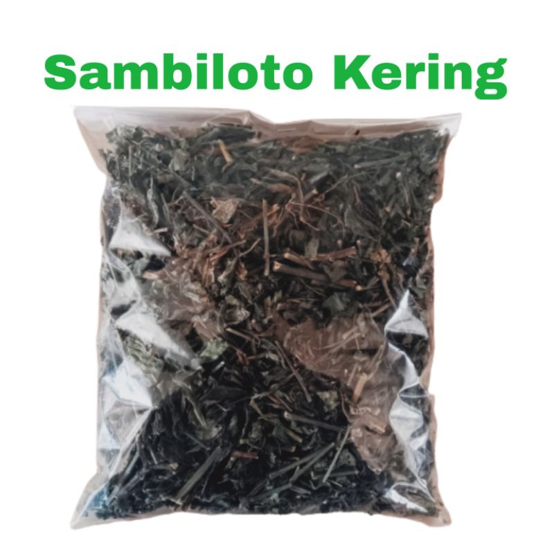 

Teh Sambiloto Kering