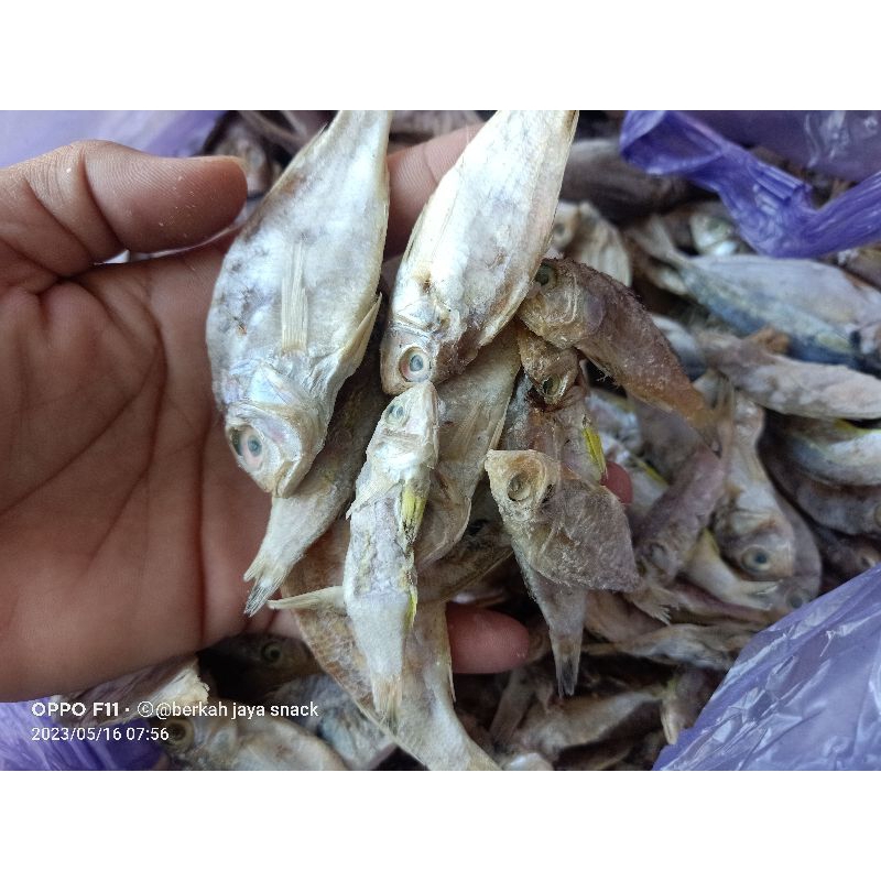 

ikan asin sisik kemasan 500 gram