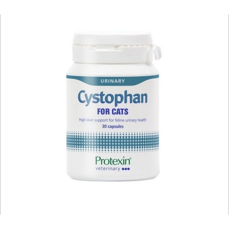 Cystophan Cystopan Ecer Obat Susah Kencing Pipis Kucing Cat