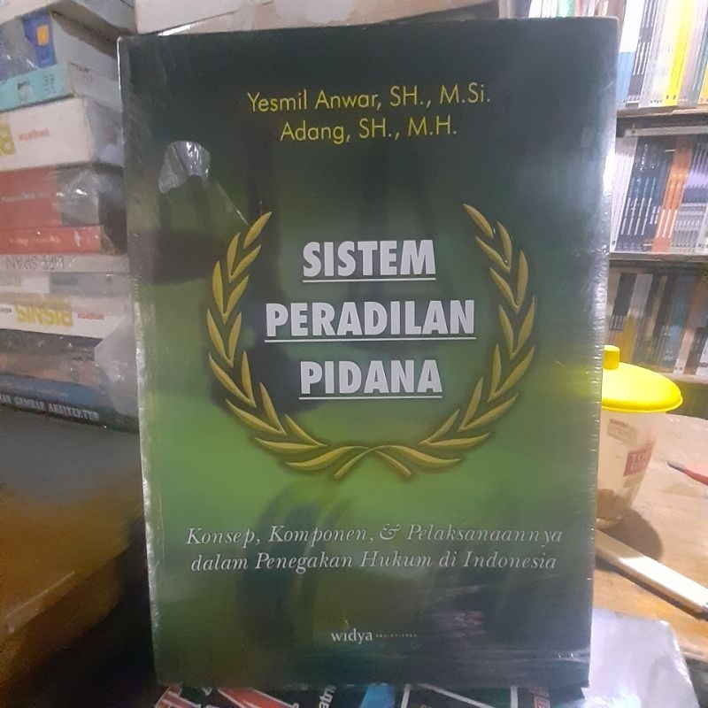sistem peradilan pidana