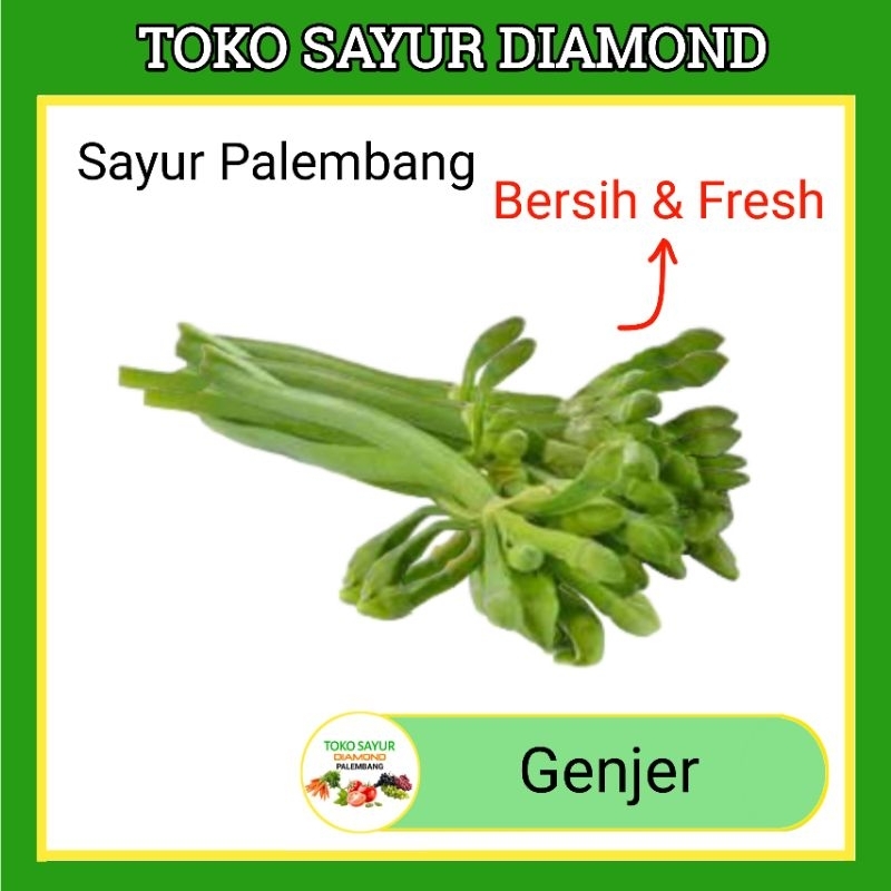 

Sayur Genjer - Toko Sayur Sayuran Mayur Online Segar Palembang