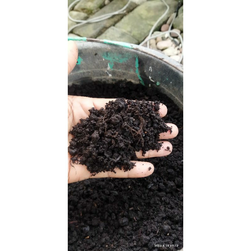 pupuk kompos daun/setara humus