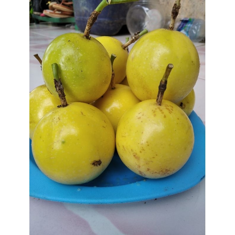 Buah Markisa 1 kg Buah segar Dan Manis Markisa Kuning