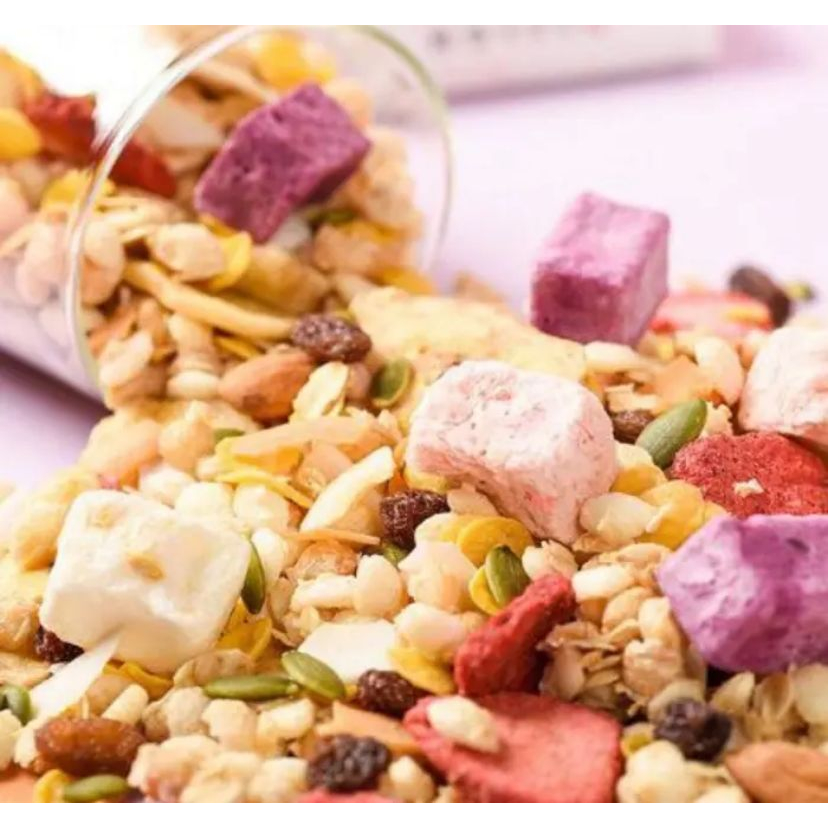 OATMEAL 500GRAM Sereal Yogurt Makanan Sehat Mixed Fruit