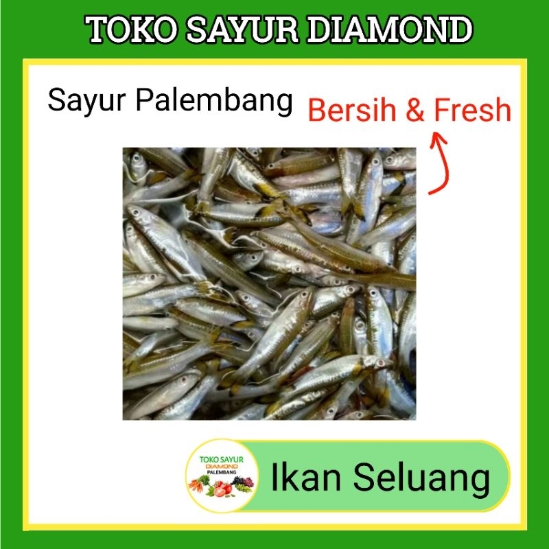 

Ikan Seluang 250 Gram Fresh - Toko Sayur Segar Diamond Palembang