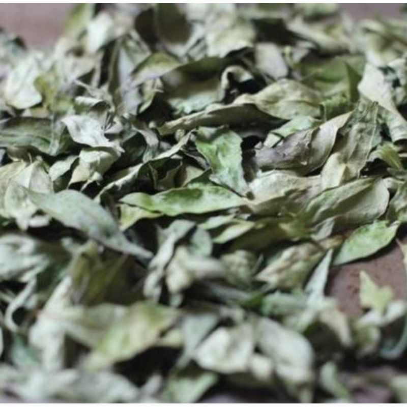 

Daun Kari / Daun Kari Segar/ Salam Koja / curry leaves / karobelek / Daun kari/ Temurui