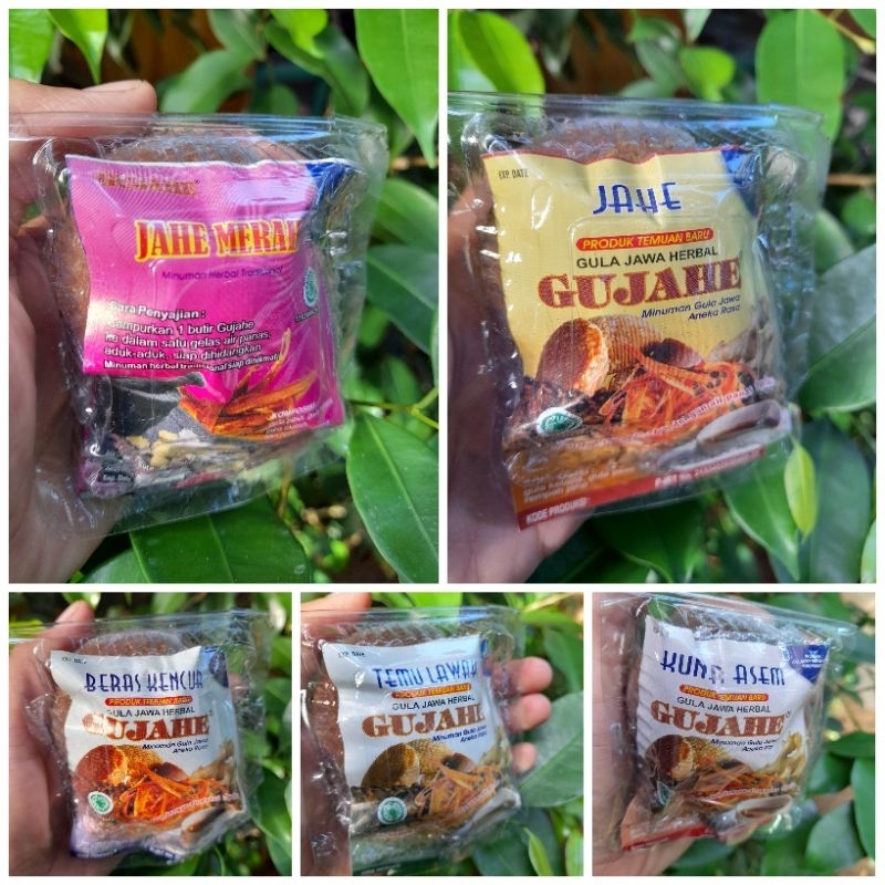 

HEMAT EKONOMIS ( GUJAHE MIKA Aneka Rasa)