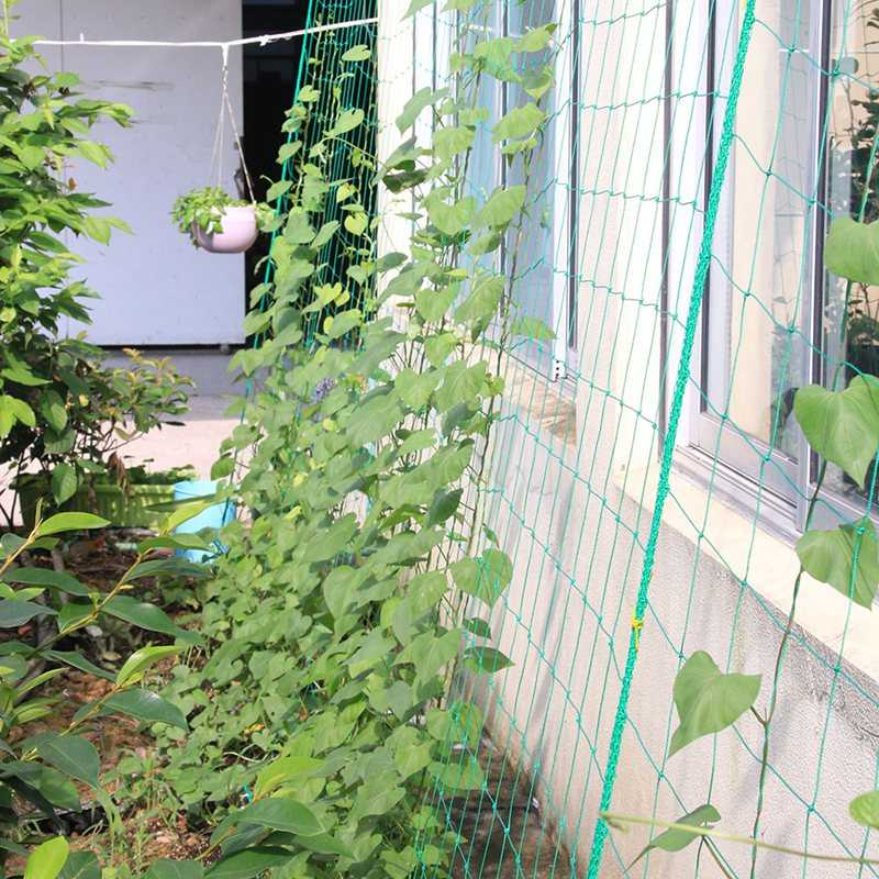 Jaring Nilon Tanaman Rambat Plants Climbing Net 180x180cm Jaring Tanaman Rambat Material Berkualitas