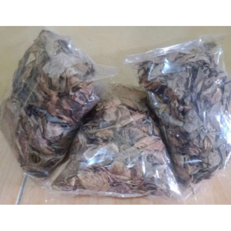 

Daun ekor naga kering organik per kantong-az
