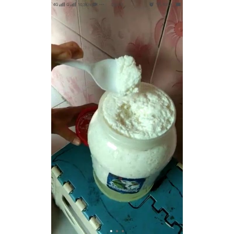 

bibit kefir susu kambing (grain kefir)