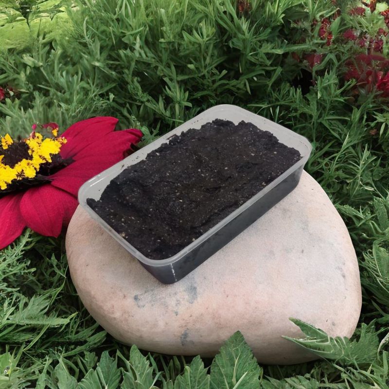 Boom Fishing Bom Pengumpul Koloni Ikan