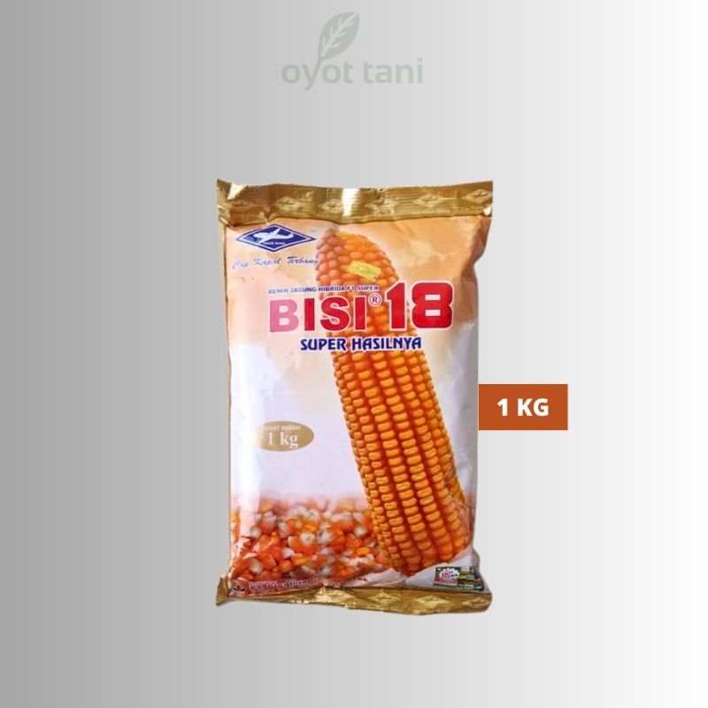 Benih Jagung Hibrida Bisi-18 Cap Kapal Terbang 1Kg (Original) | Benih Jagung Hibrida F1 Super