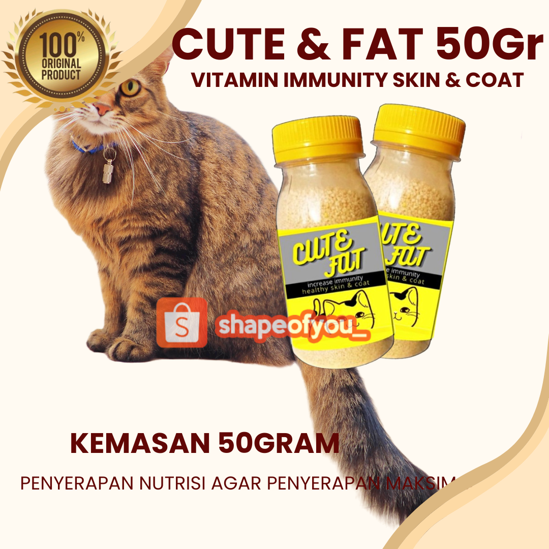 Vitamin Penggemuk dan Bulu Kucing Penumbuh Bulu Kucing Pelebat Bulu Obat Bulu Kucing Rontok Cute Fat