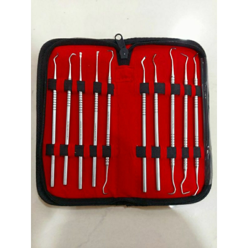Dental periodontal instrument Scaler Manual isi 10 senshan AKL / Instrumen scaler / skaler dental in