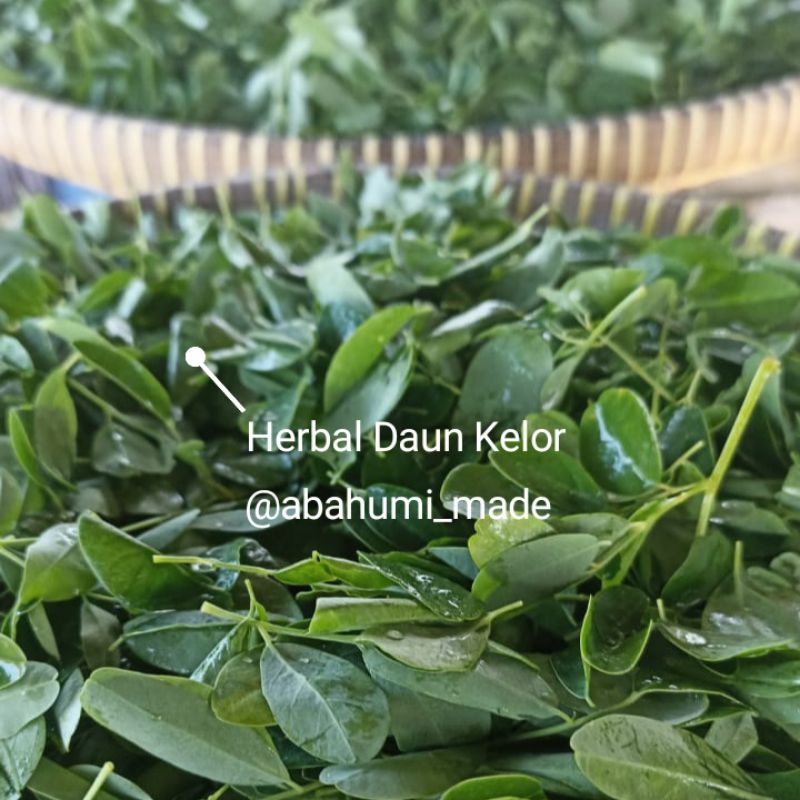 

Herbal Daun Kelor | Teh Daun Kelor Original Homemade