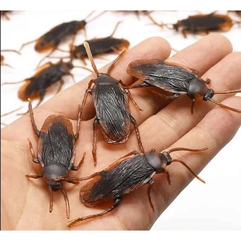 2pcs Mainan Anak Murah Kecoa Kecoaan