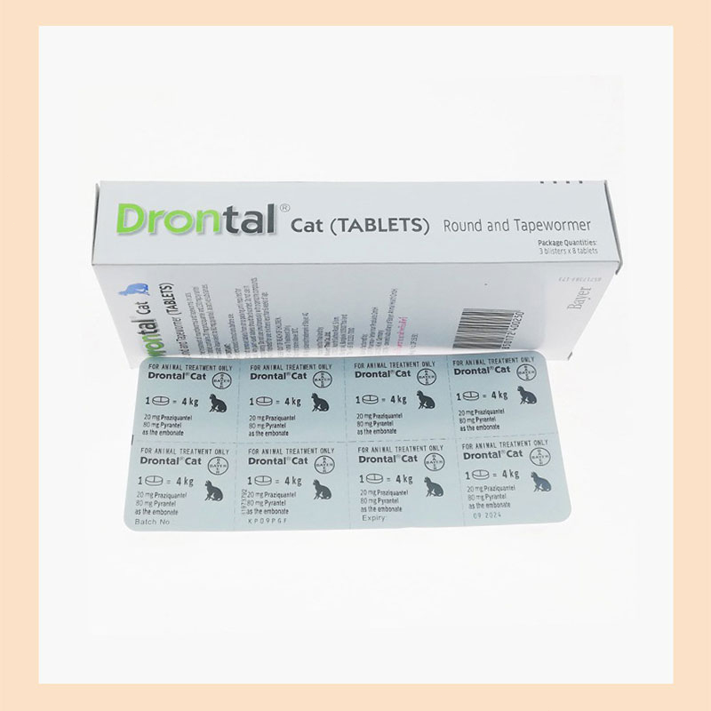 Drontal Cat Obat Cacing Kucing Stop Worm Untuk Cats Dewasa Kiten Cacingan Bukan