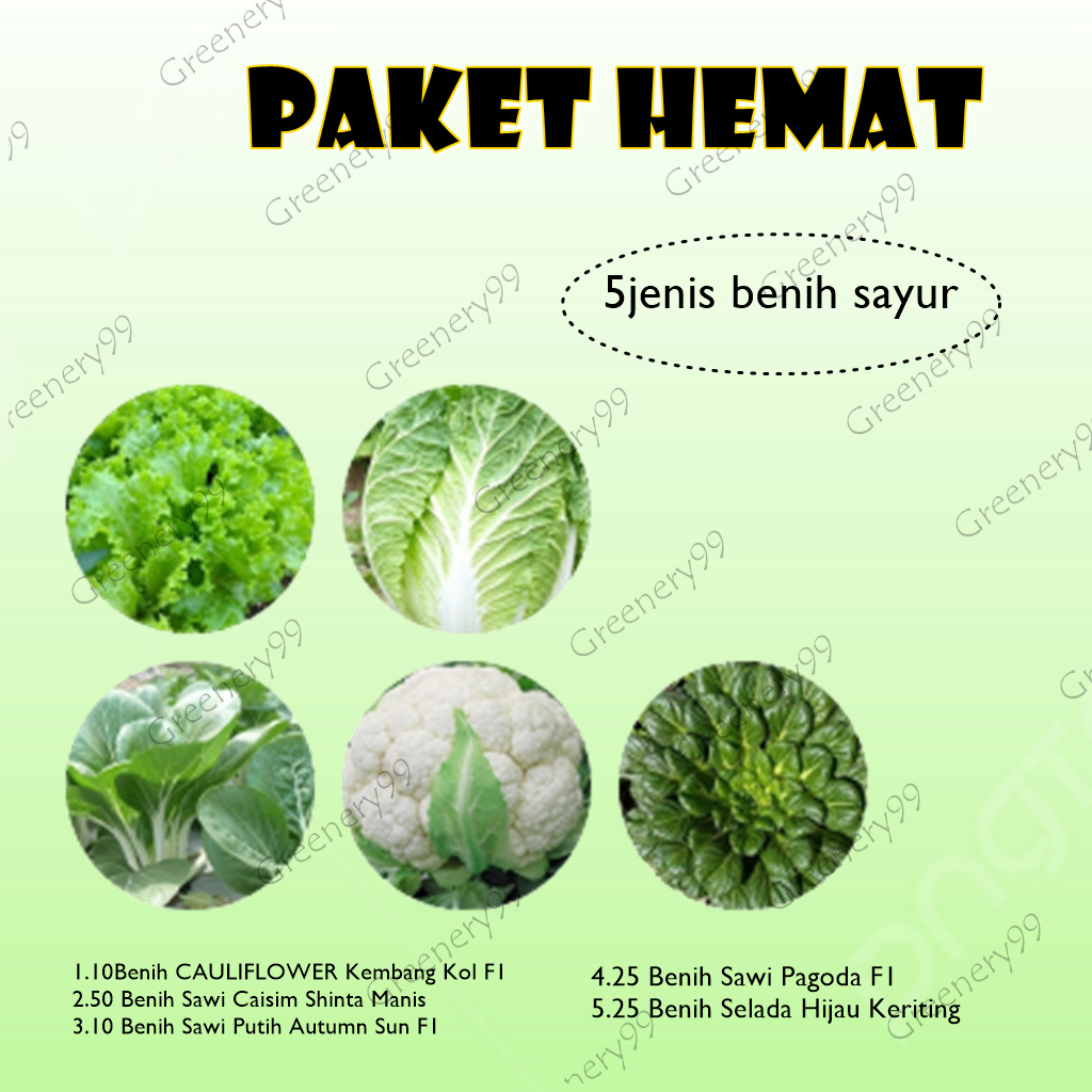 paket 5jenis beneh bibit sayur sayuran sawi pagoda sawi putih brokoli selada