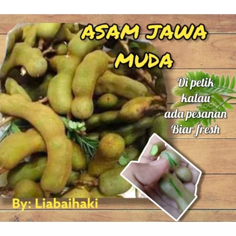 

asam jawa mentah muda 1/2 kiloan murah