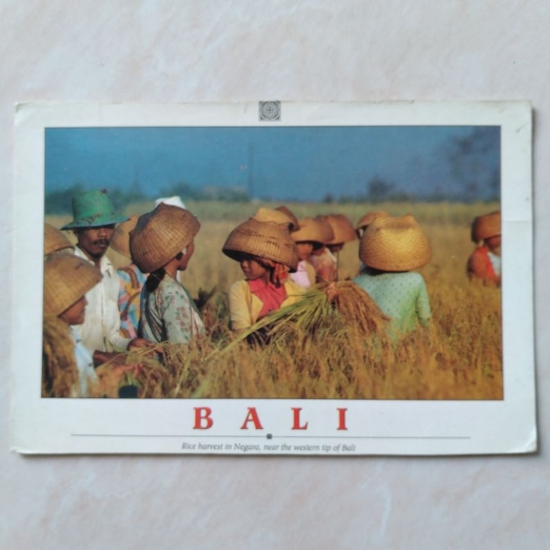 

Kartu Pos Jadul Foto Sawah dan Petani Negara Bali 1990an Used - YN225