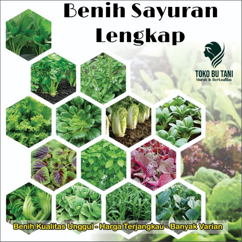 Bibit Sayuran Benih Sayur Paket Lengkap Tanaman Hidroponik Kangkung Bayam Brokoli Cabe Rawit Daun Bawang Kol Sawi Pakcoy Caisim Terong Ungu Tomat Sayur Selada Wortel dll