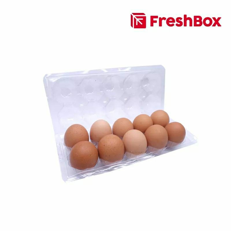 

TELUR AYAM NEGERI 10 PCS FRESH BOX