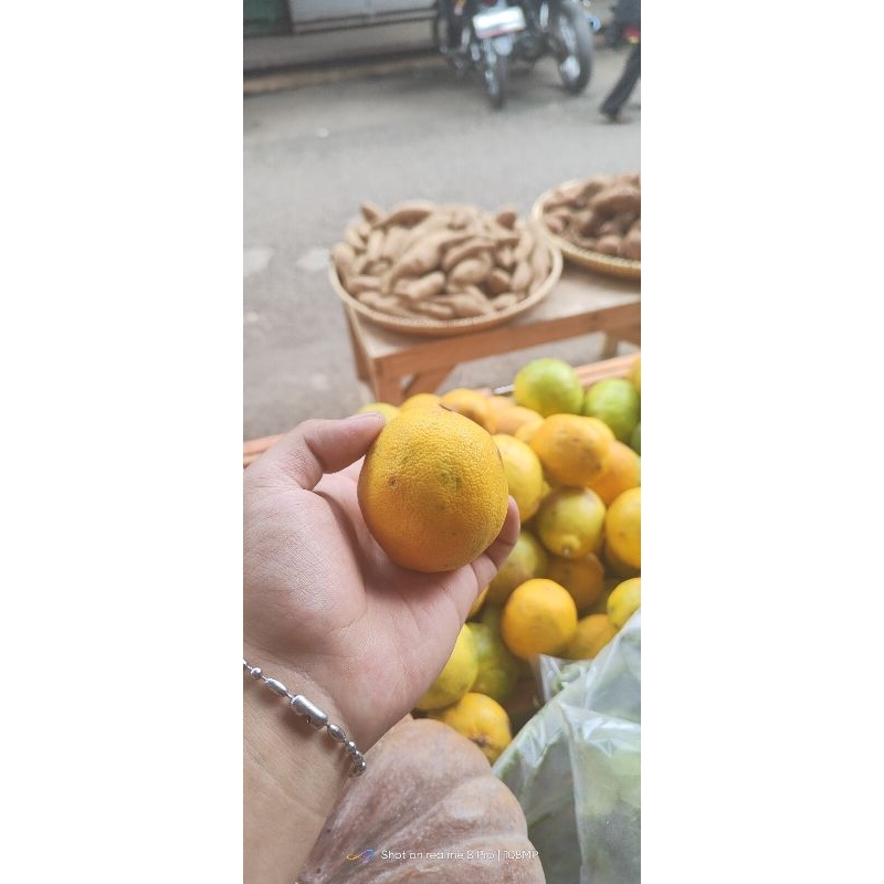 

Jeruk lemon import California