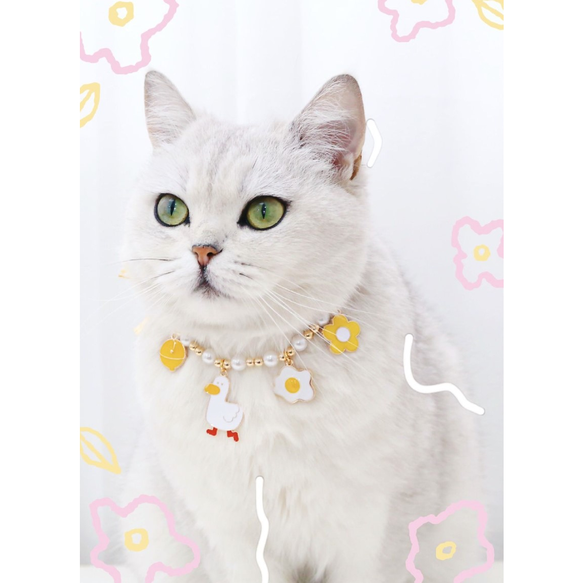 Premium Luxury Collar Cat Premium / Kalung Kuling Cantik / Kalung Kucing Unik