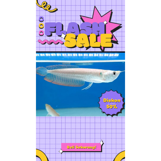 Arowana/Arwana Silver Red Serat Merah 12-14 CM