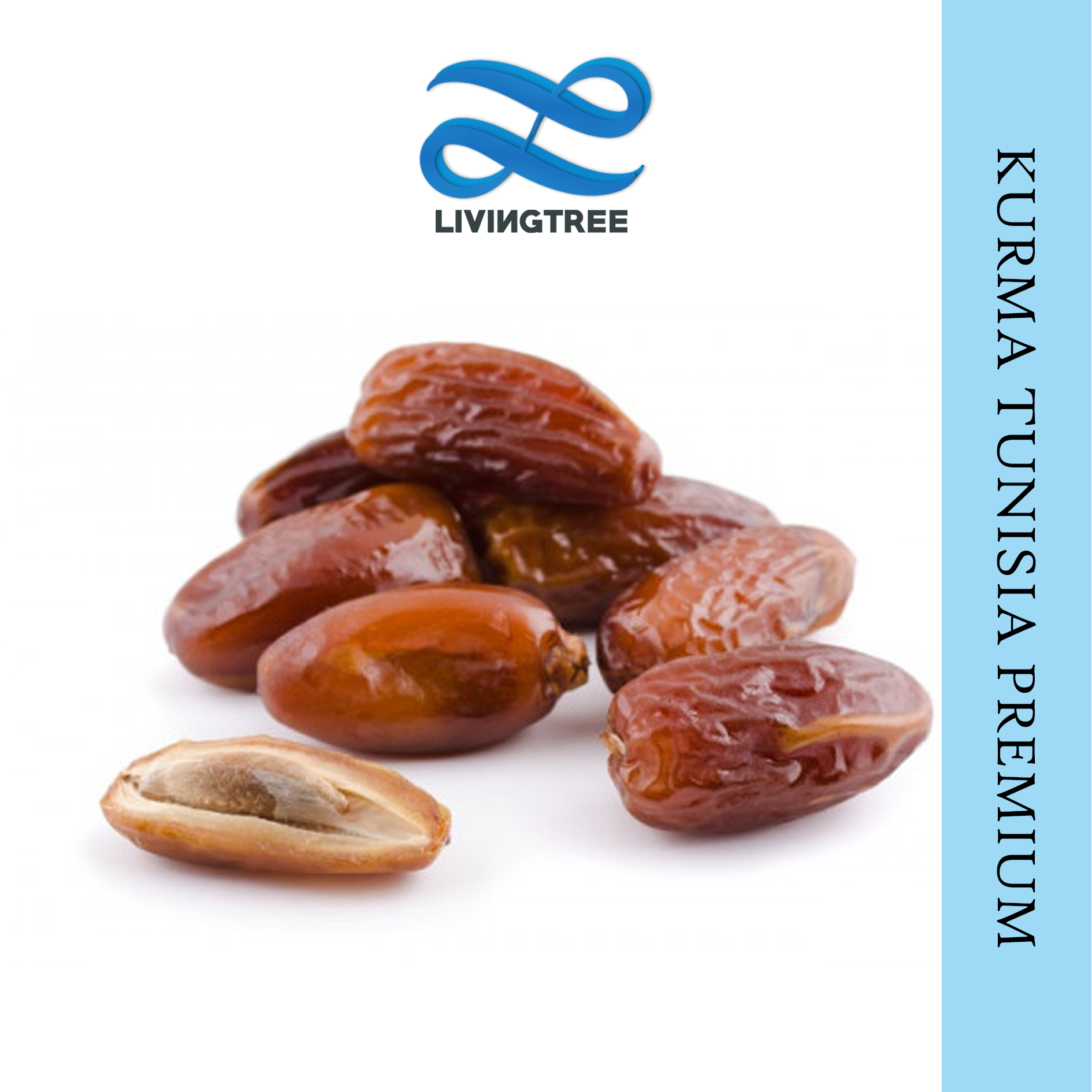 

Kurma Tunisia Tangkai Premium 500gr - Kurma Tunisian