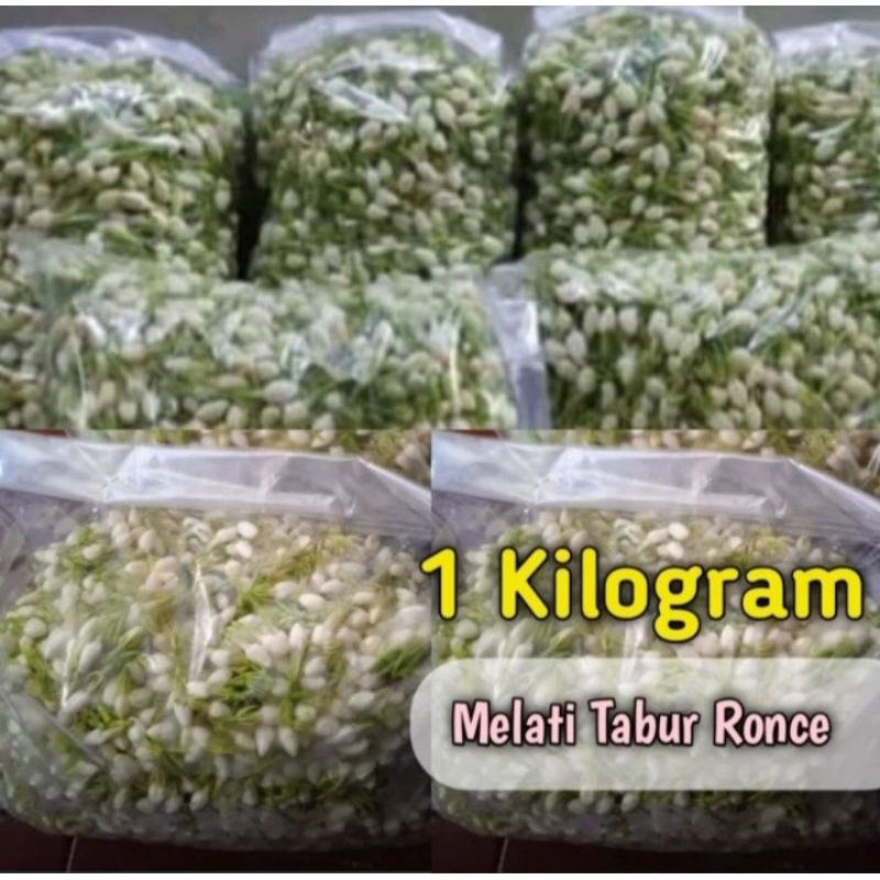 ;bunga melati tabur romce wangi dan segar 1 kg
