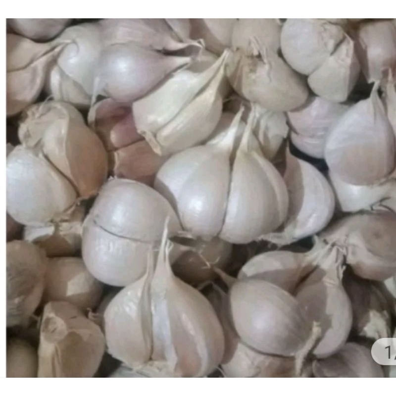 

BAWANG PUTIH KATING 1 kg