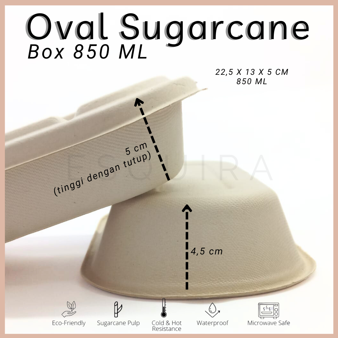 Oval Sugarcane Box 850 ML / Lunch Box 10 Pcs + Lid / TAB850