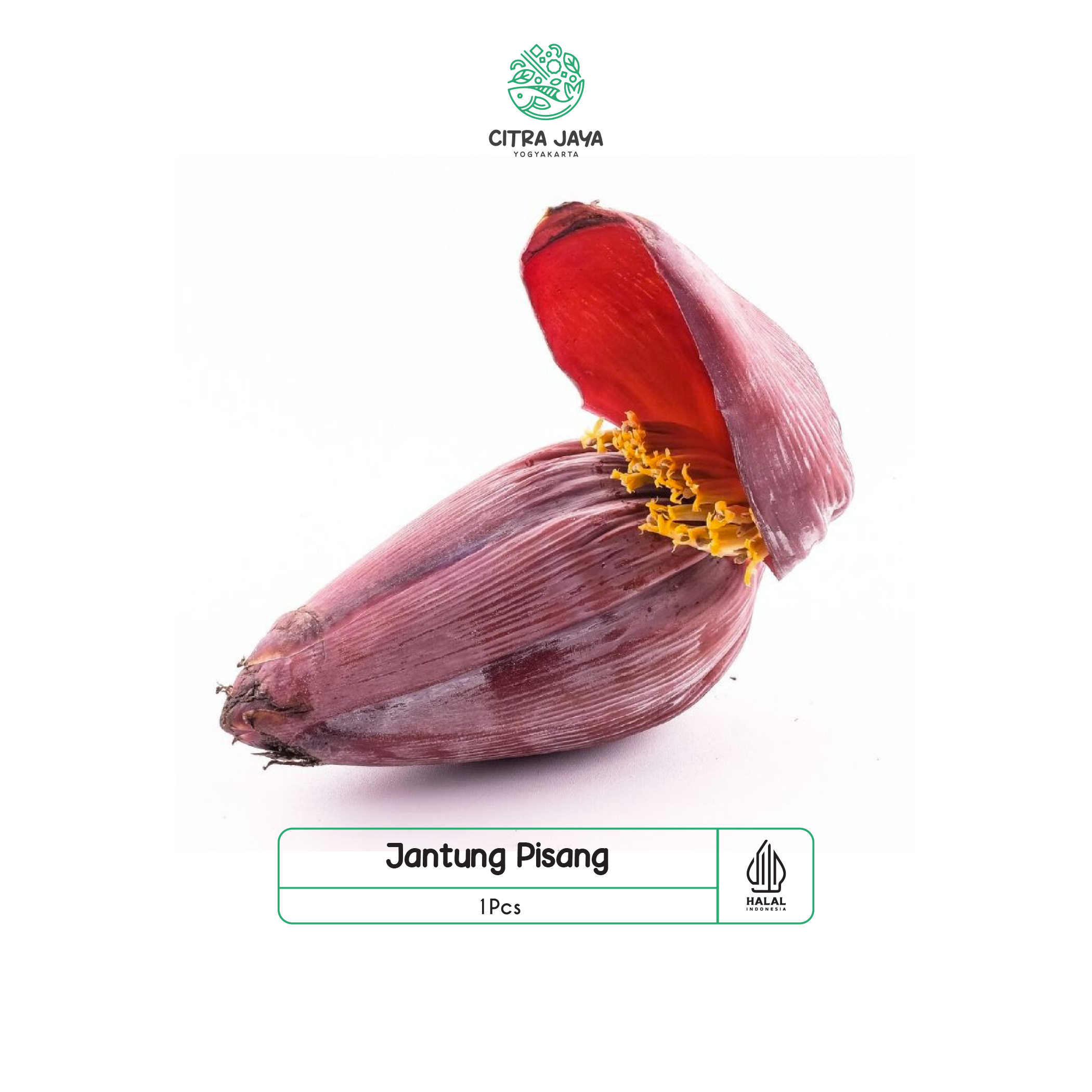 

Jantung Pisang 1 Buah - Citra Jaya Yogyakarta