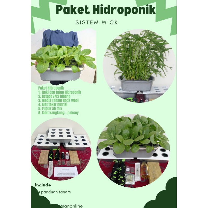 Paket Hidroponik Sistem Wick/Hidroponik/Paket hidroponik lengkap