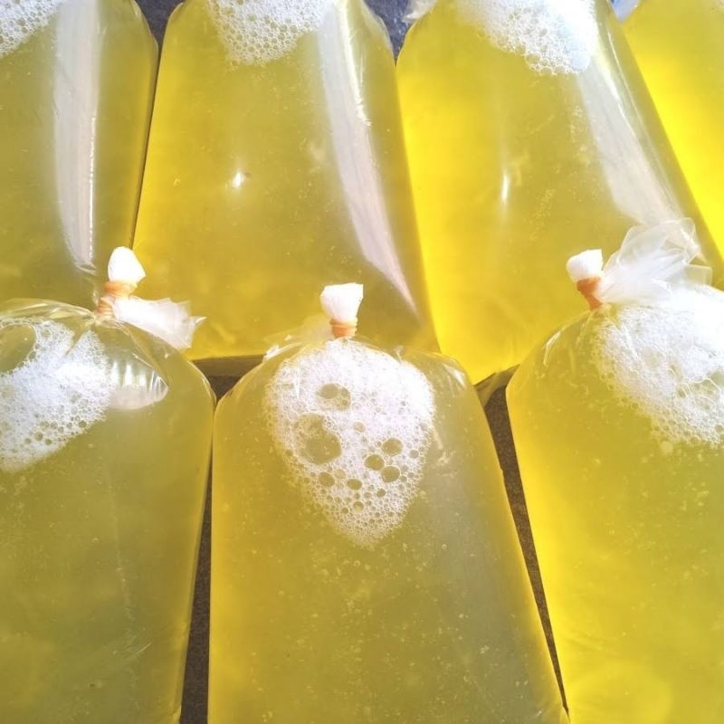 

PUTIH TELUR MENTAH 1PAC