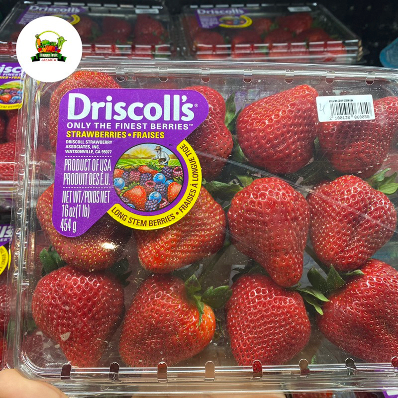 

Strawberry USA JUMBO | Buahstrawberry Driscol super jumbo fresh 454grm