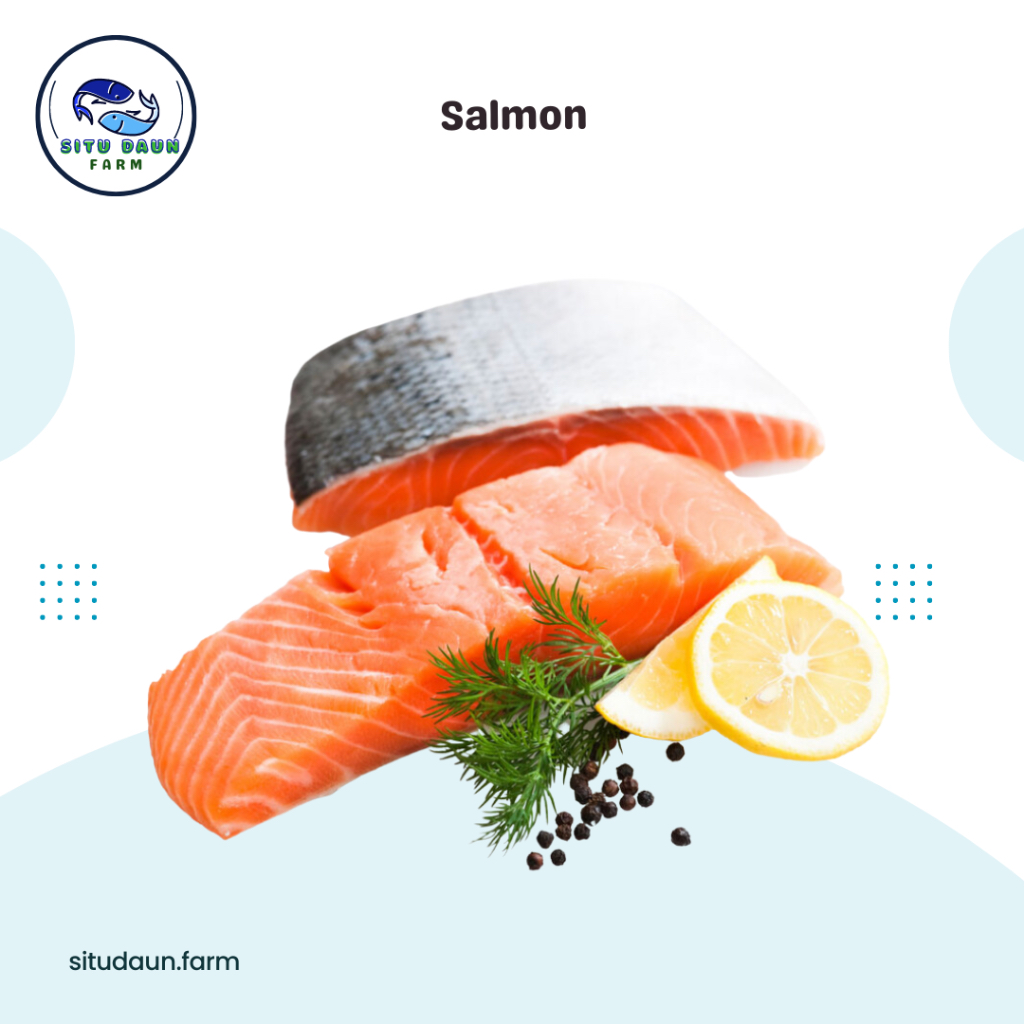 

Ikan Salmon Premium 200 Gram