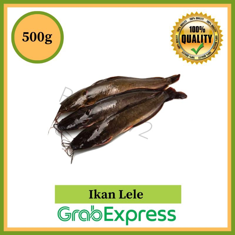 

Ikan lele Segar 500 gram