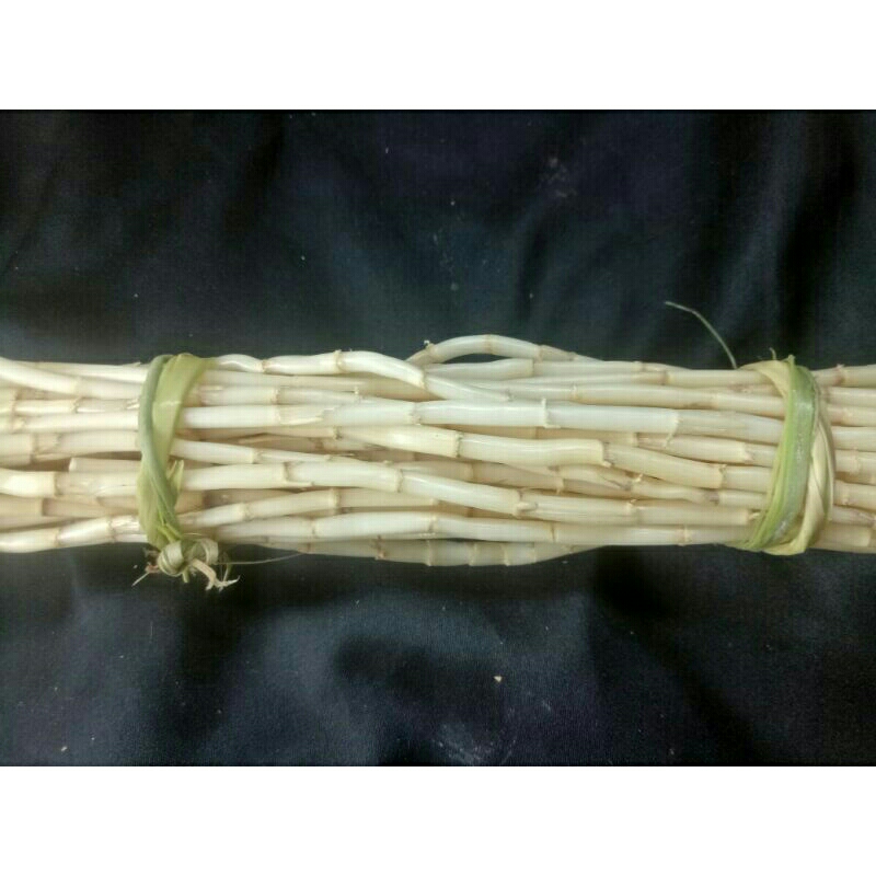 

Akar alang alang bersih herbal alami 100 gr kualitas super