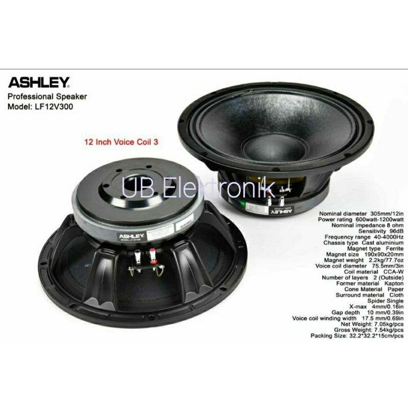 Speaker Ashley 12V300