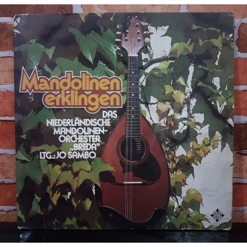 Vinyl Piringan Hitam 12 inch Mandolinen Erklinger