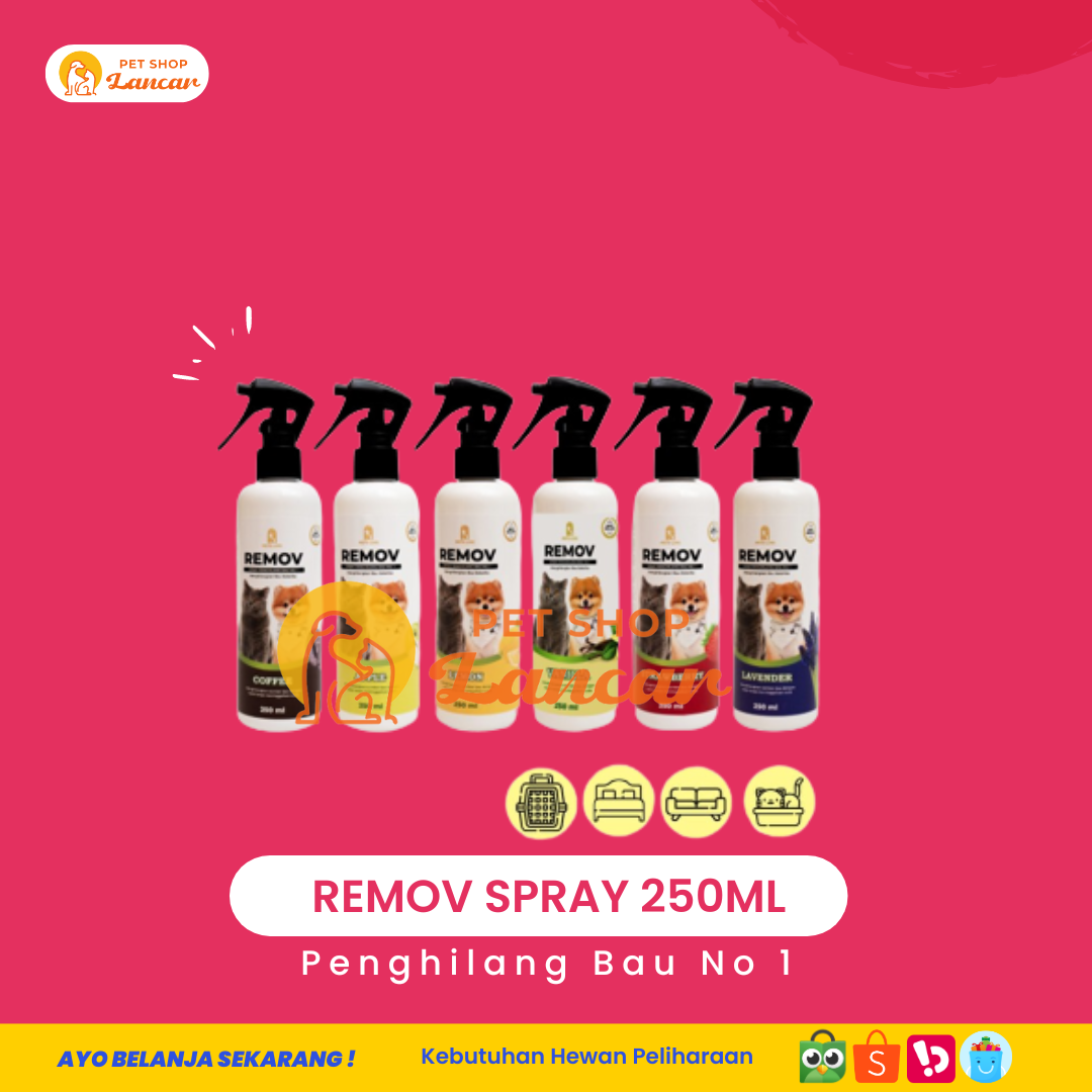 REMOV Spray Penghilang Bau tanpa Noda 250ml